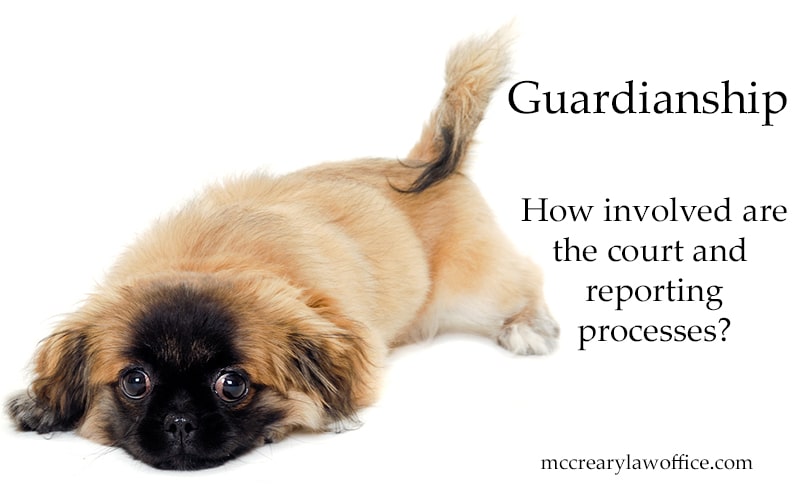 Guardianship Process