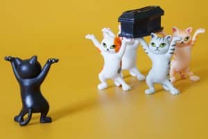 Funeral procession of toy cats