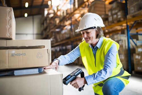 Example of Older workers with photo of senior woman in warehouse.