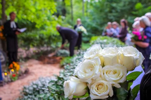 Roses in cemetery with people in the background attending a funeral