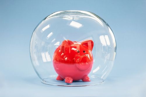 Fish bowl over piggy bank symbolizing asset protection