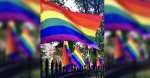 Pride flags in Christopher Park shared for Pride Month