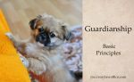 Guardianship Basics